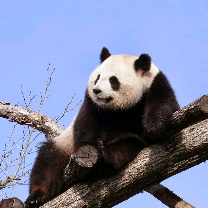 禹三
