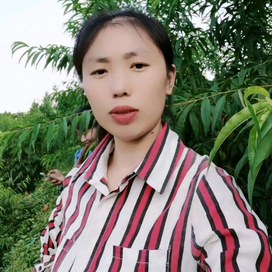 贴砖王姐