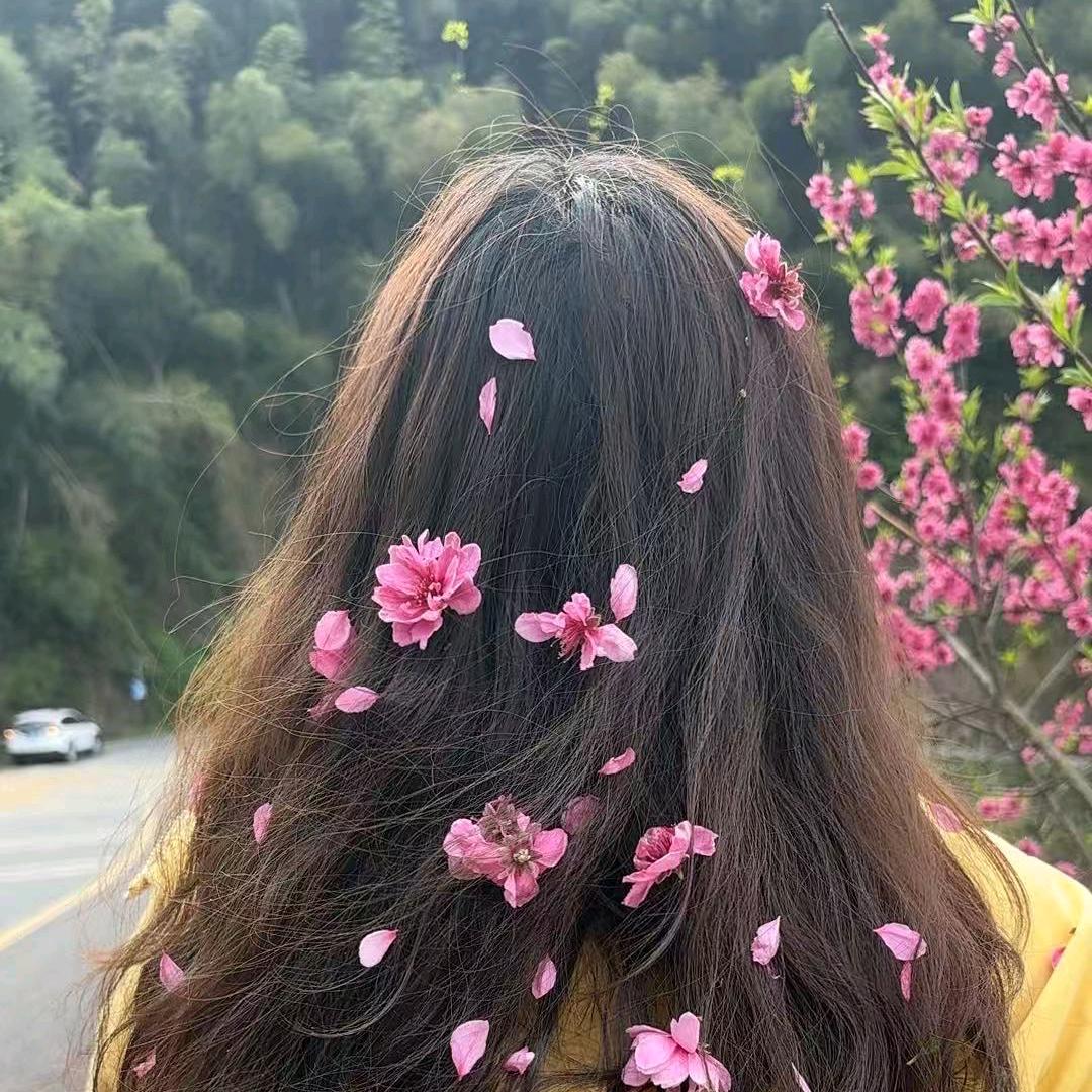 心上掉下来的林妹妹