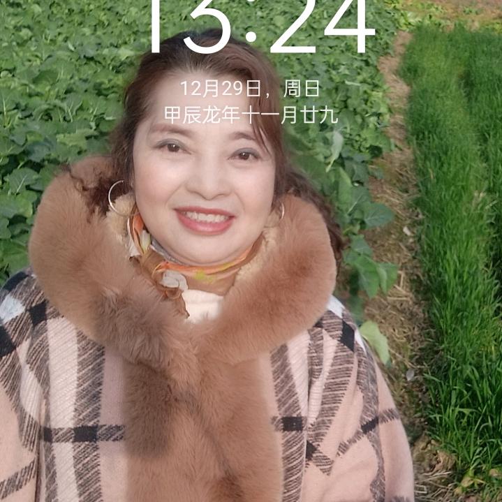 李凤