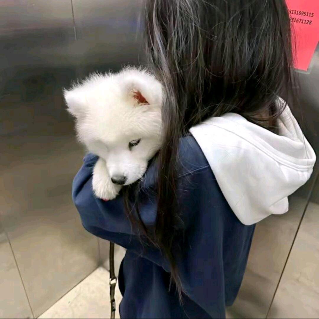 小胡同^