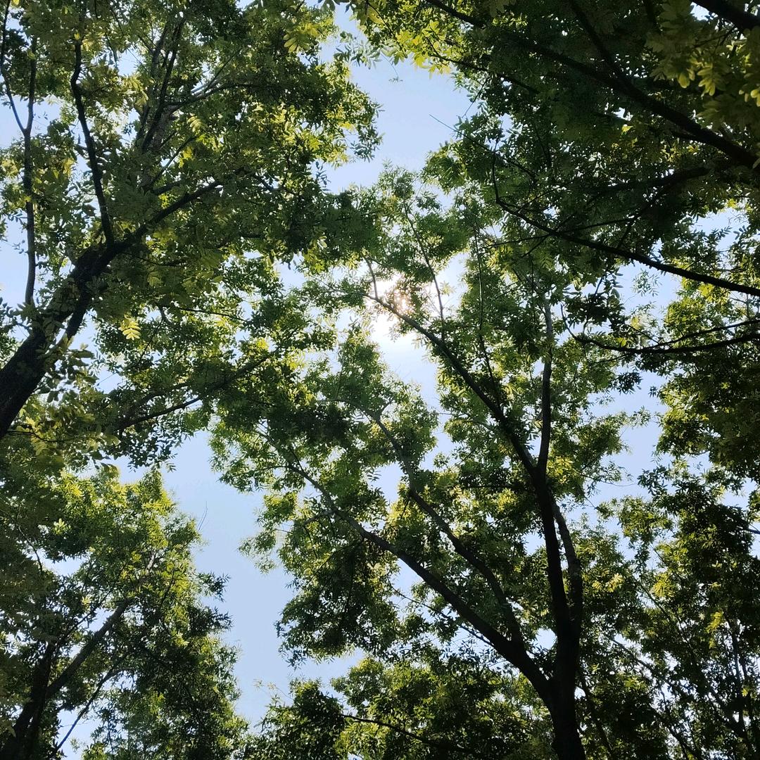 用户35286254175800