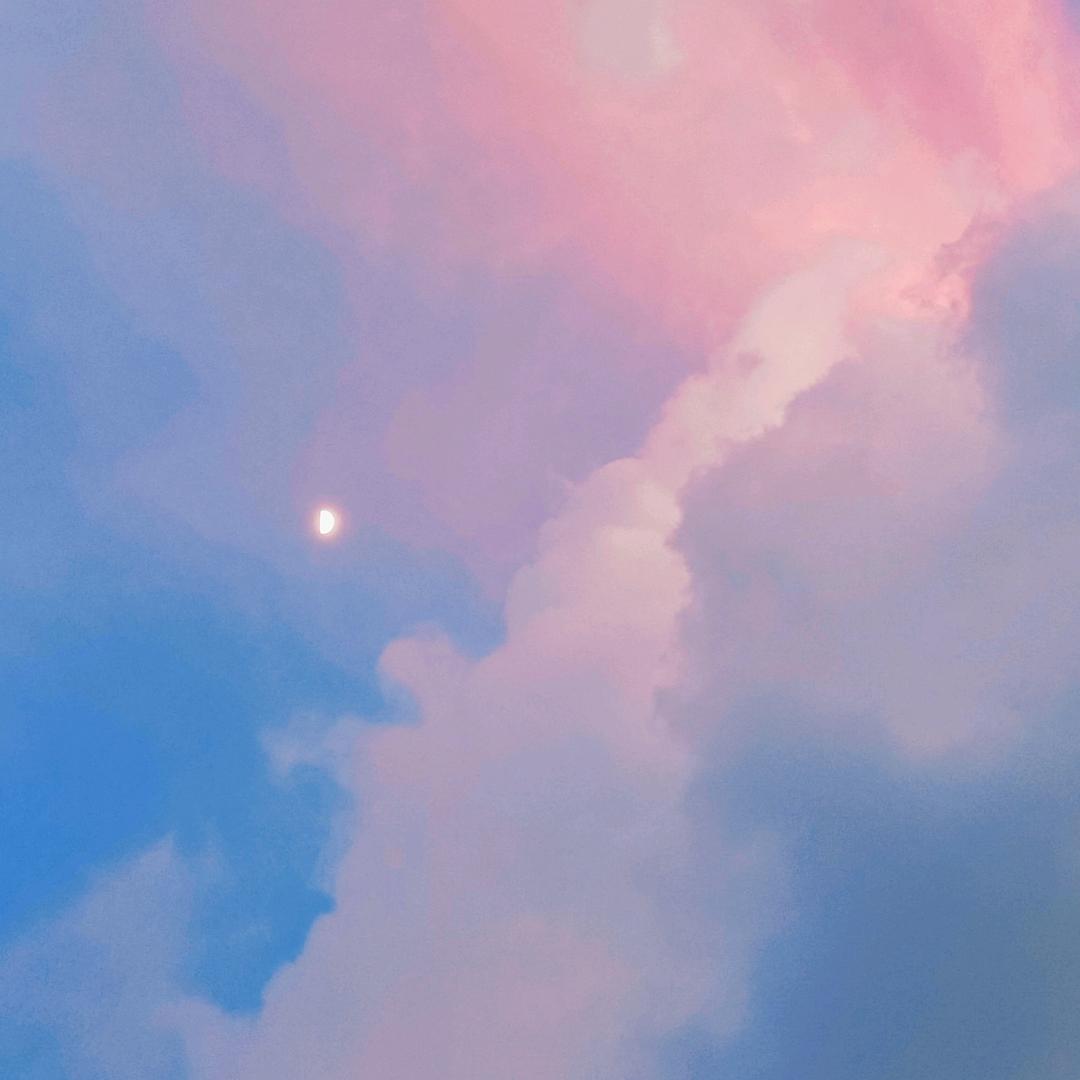 无可取代📸