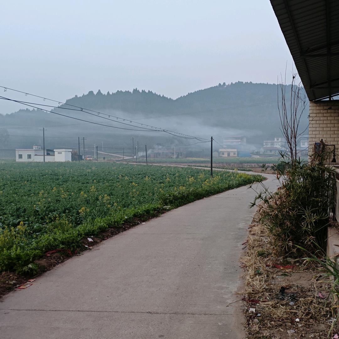 仕宦当作执金吾，娶妻当得阴丽华