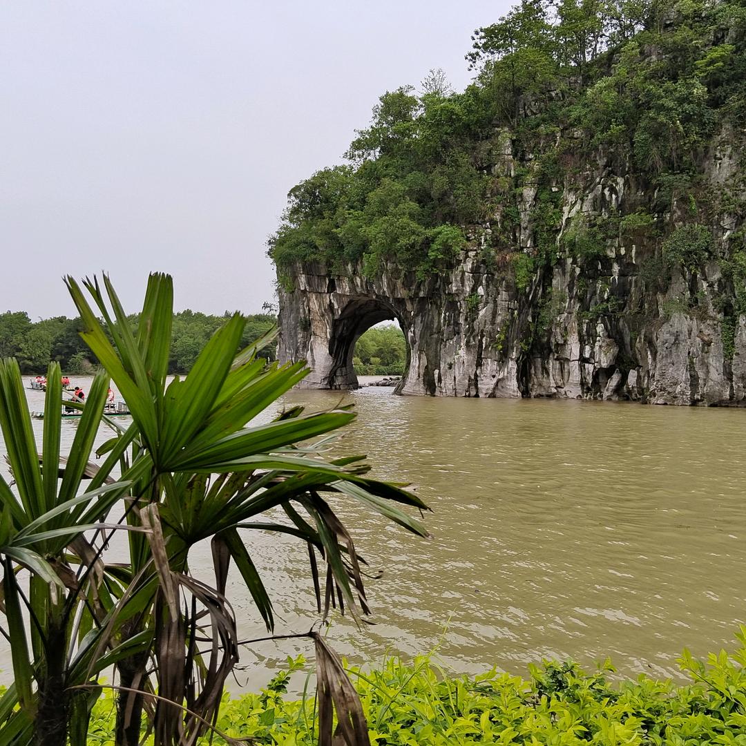 喜欢《胸小的女主播》