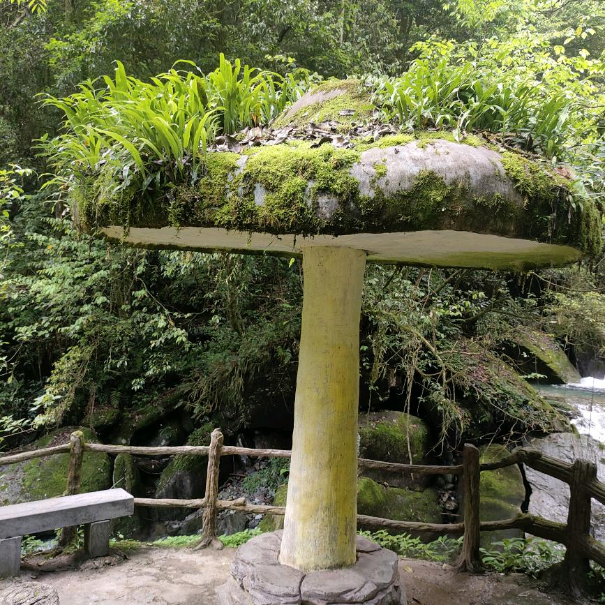 留在你心