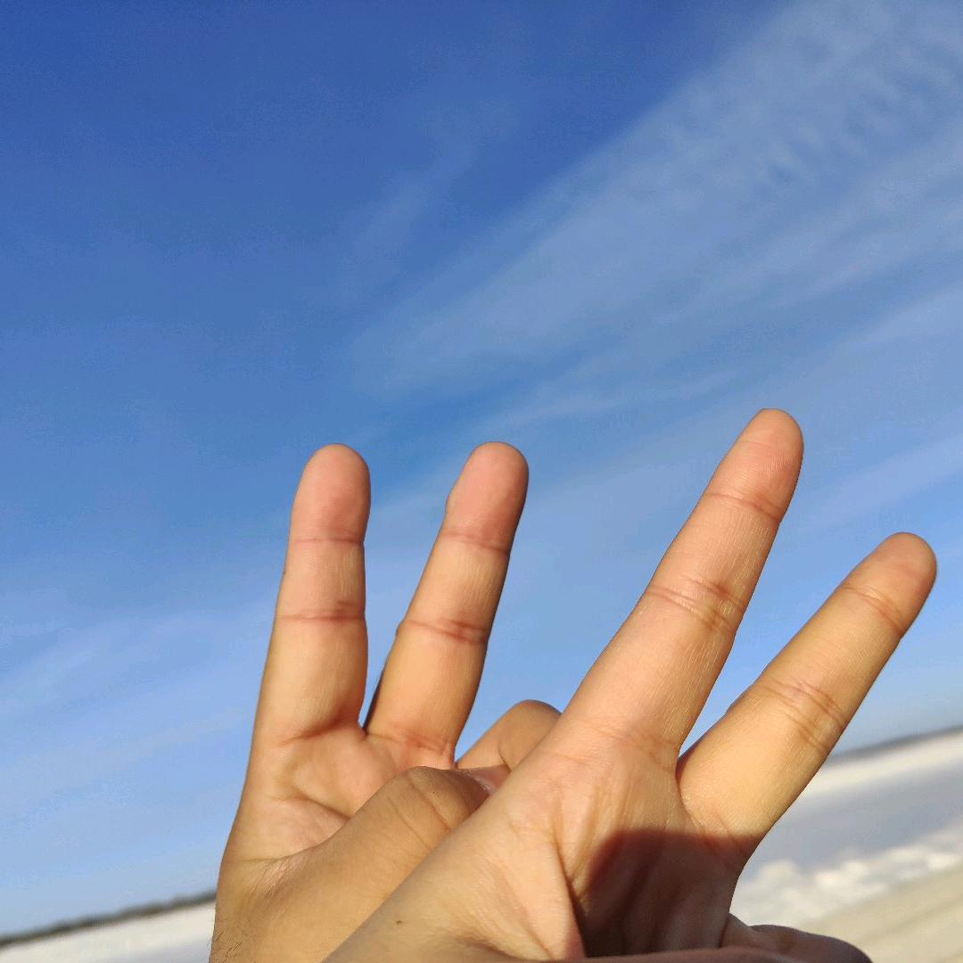 朴