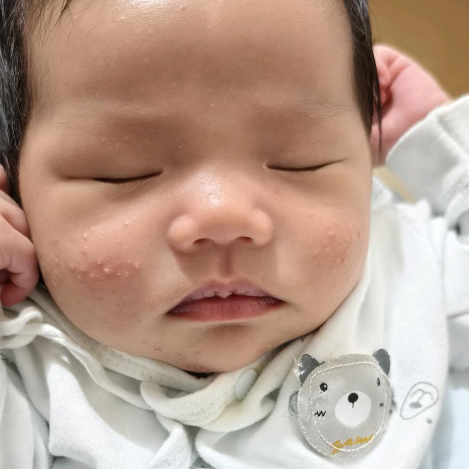幼崽养成记