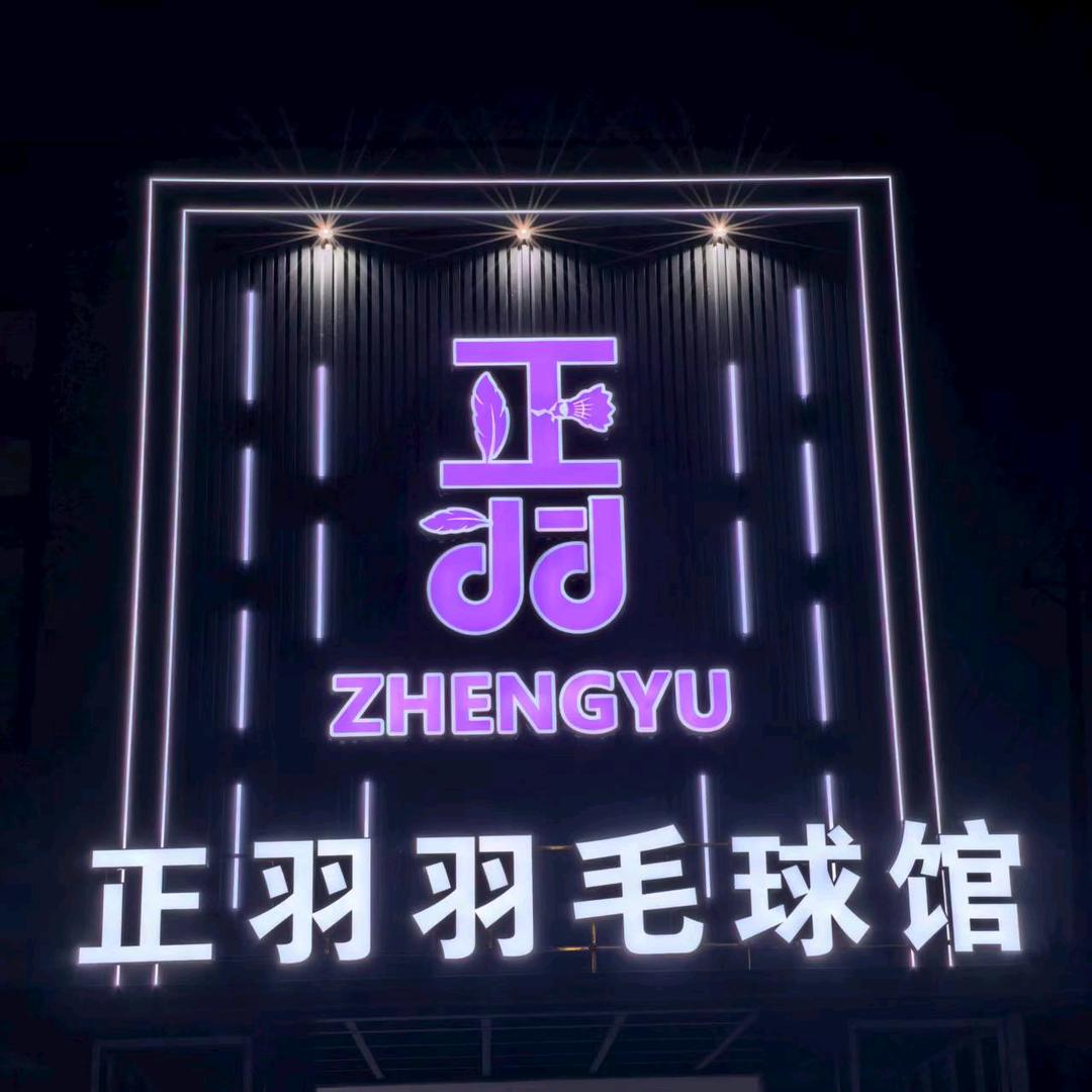 正羽羽毛球