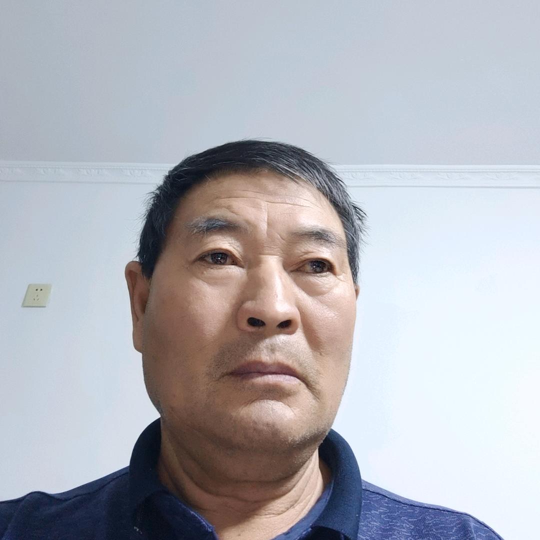 不老松