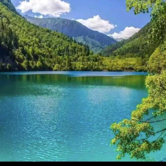 容桂战狼摩托车队