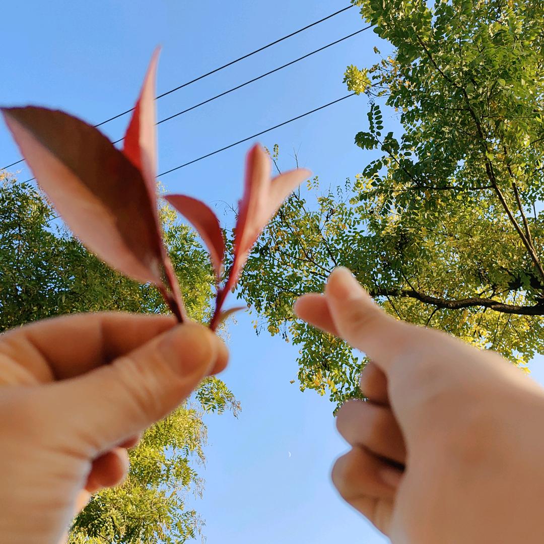 风轻云淡