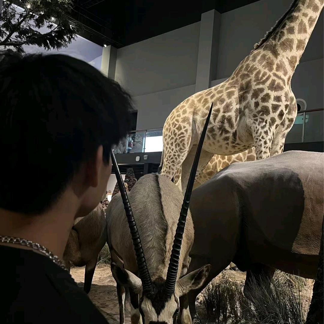 爱吃 爱练 爱猫狗