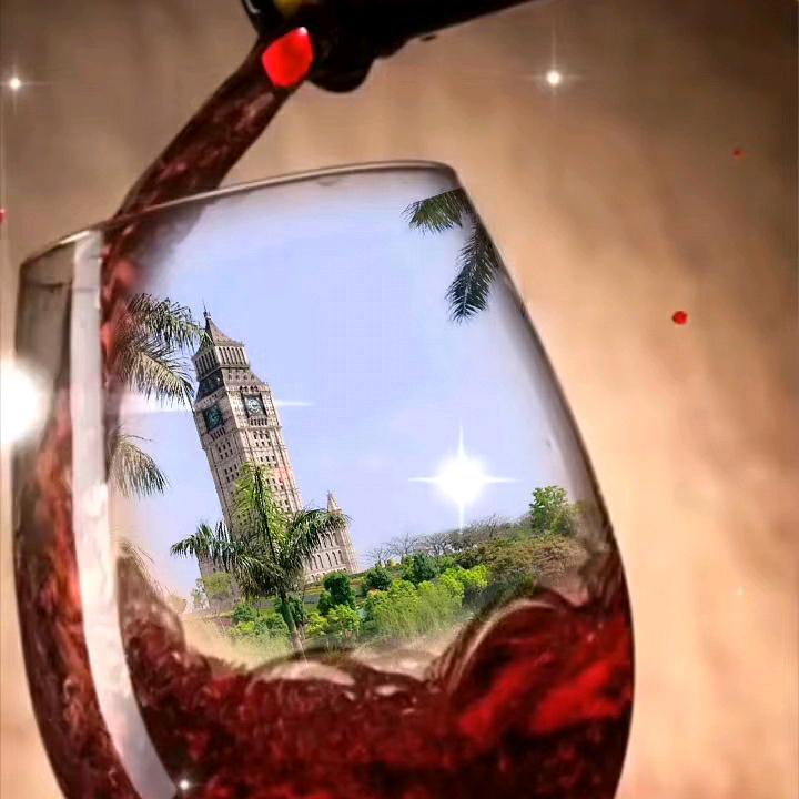高飞的鲲鹏