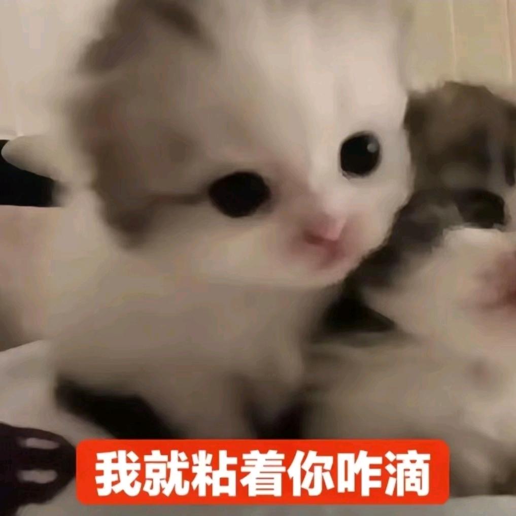 楚林（心海的狗）