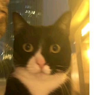 我今天运气超好🐟