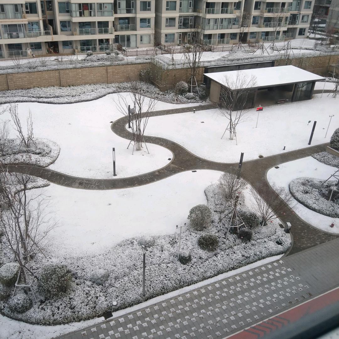 风条雨顺