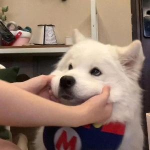 七颗辣条