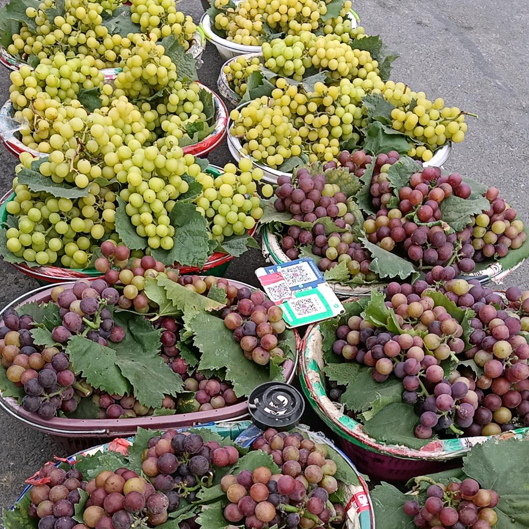 熊大，果蔬直销