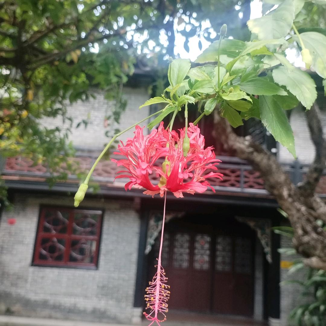 知足常乐❤️