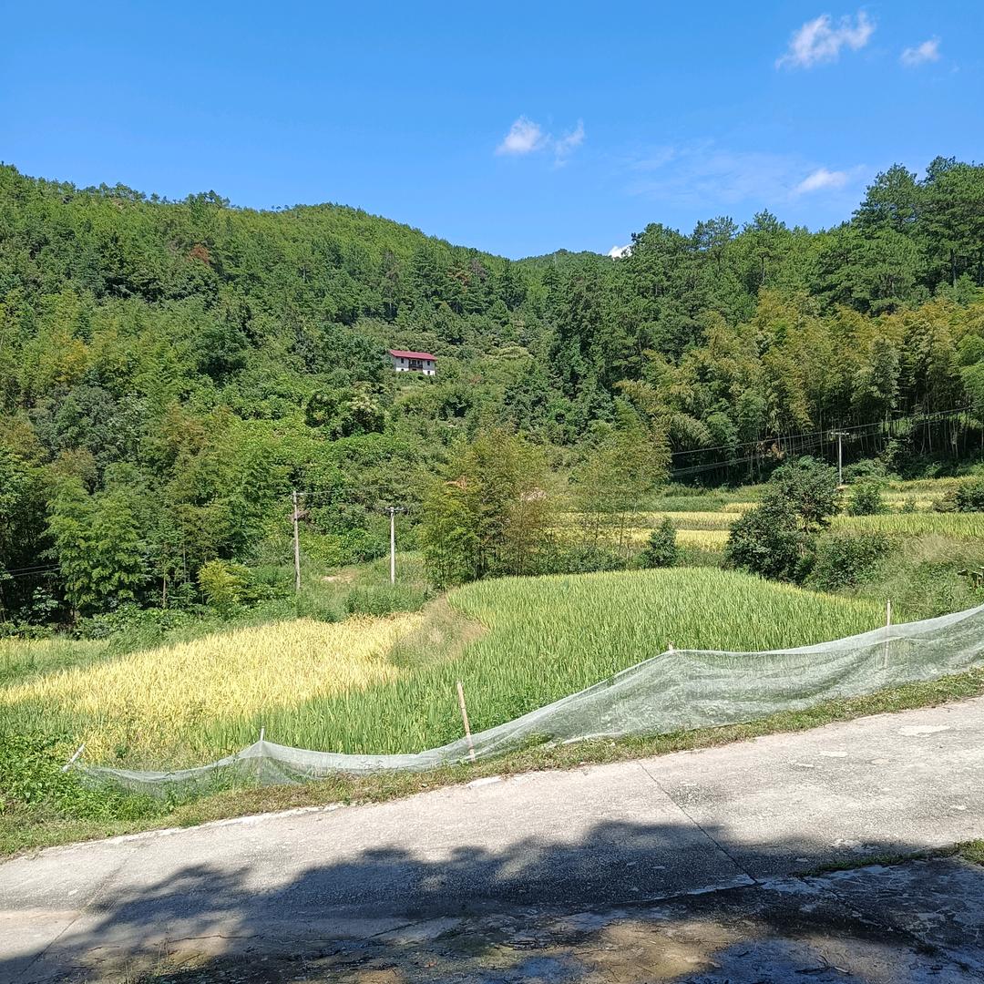 静沐❁´◡`暖阳