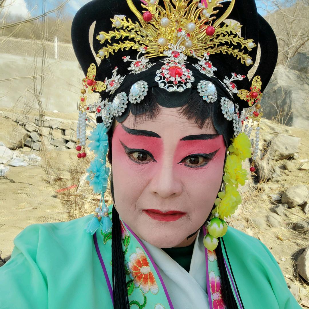 河北梆子灵芝姐