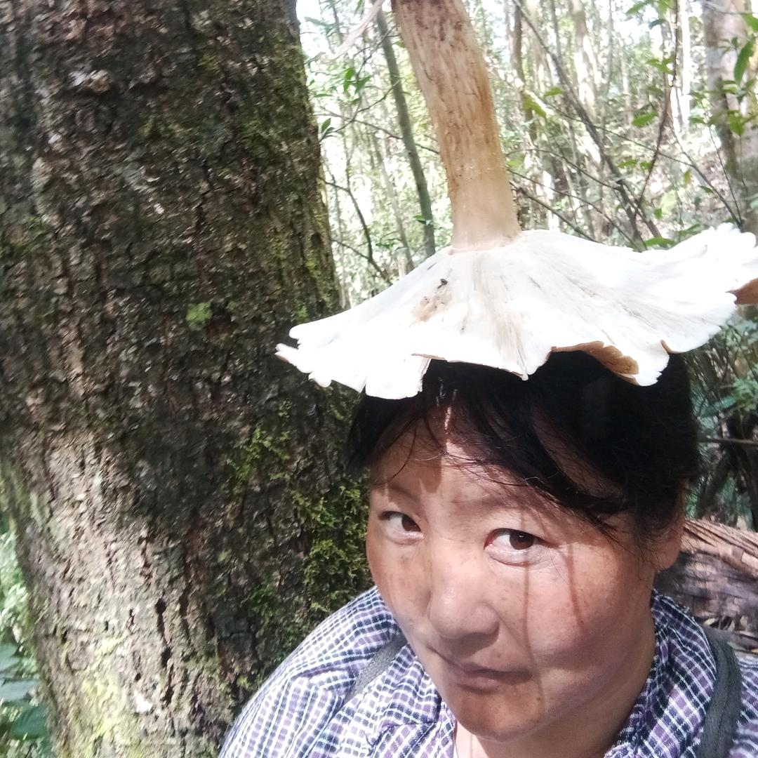 高黎贡山徒步向导王姐