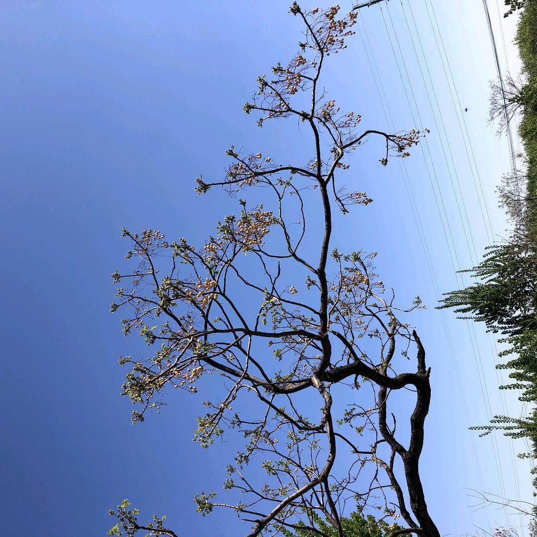 怎么这么漂亮