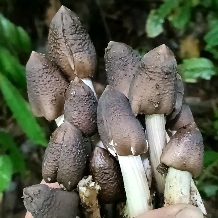 时光日记