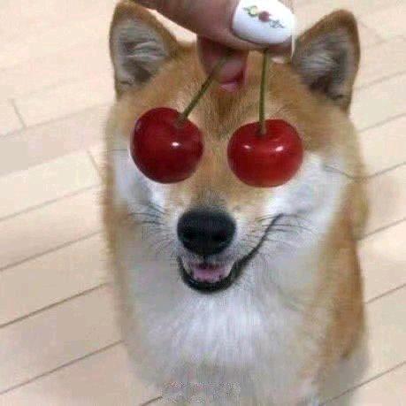 5004