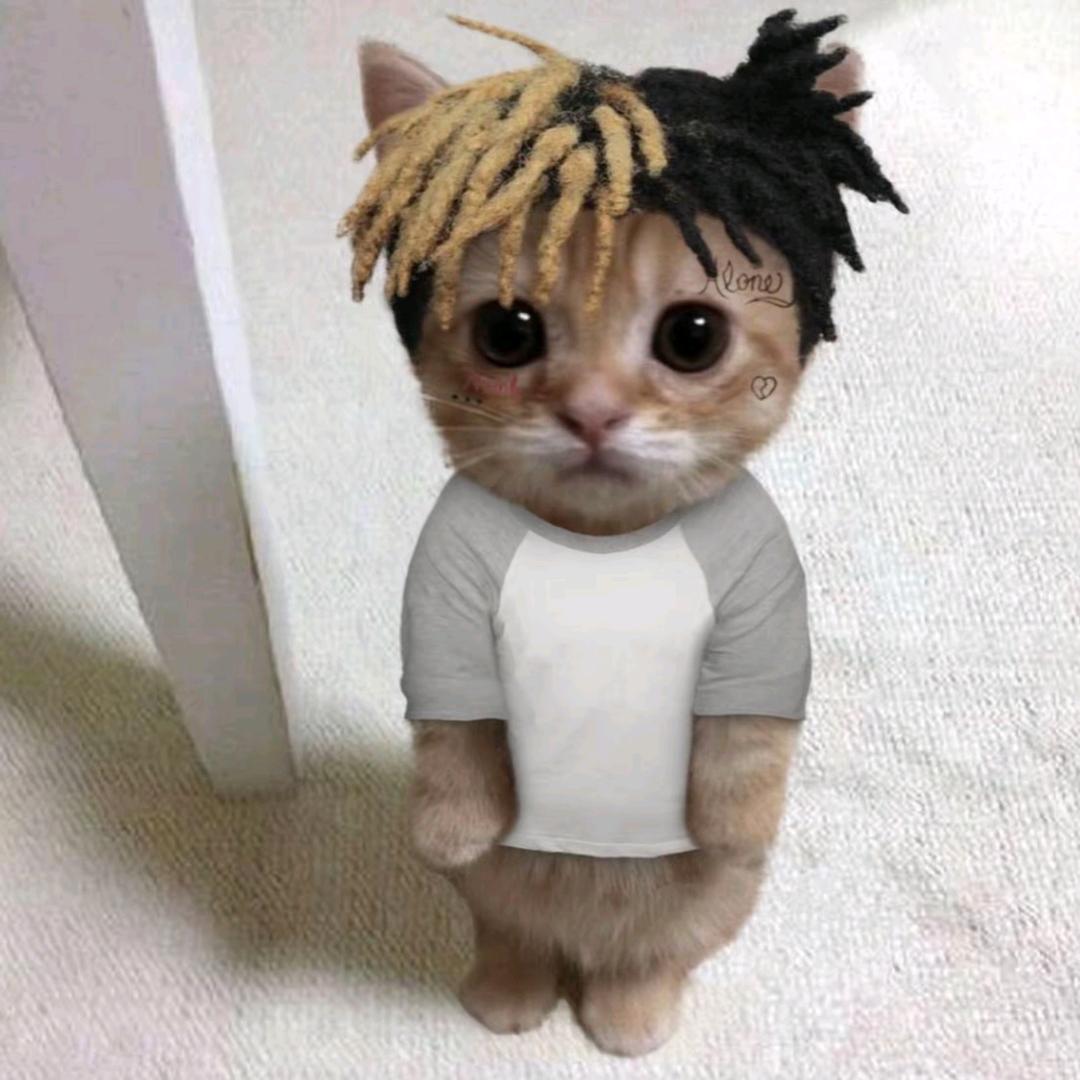 Bad boy