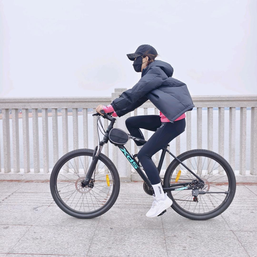 李真真