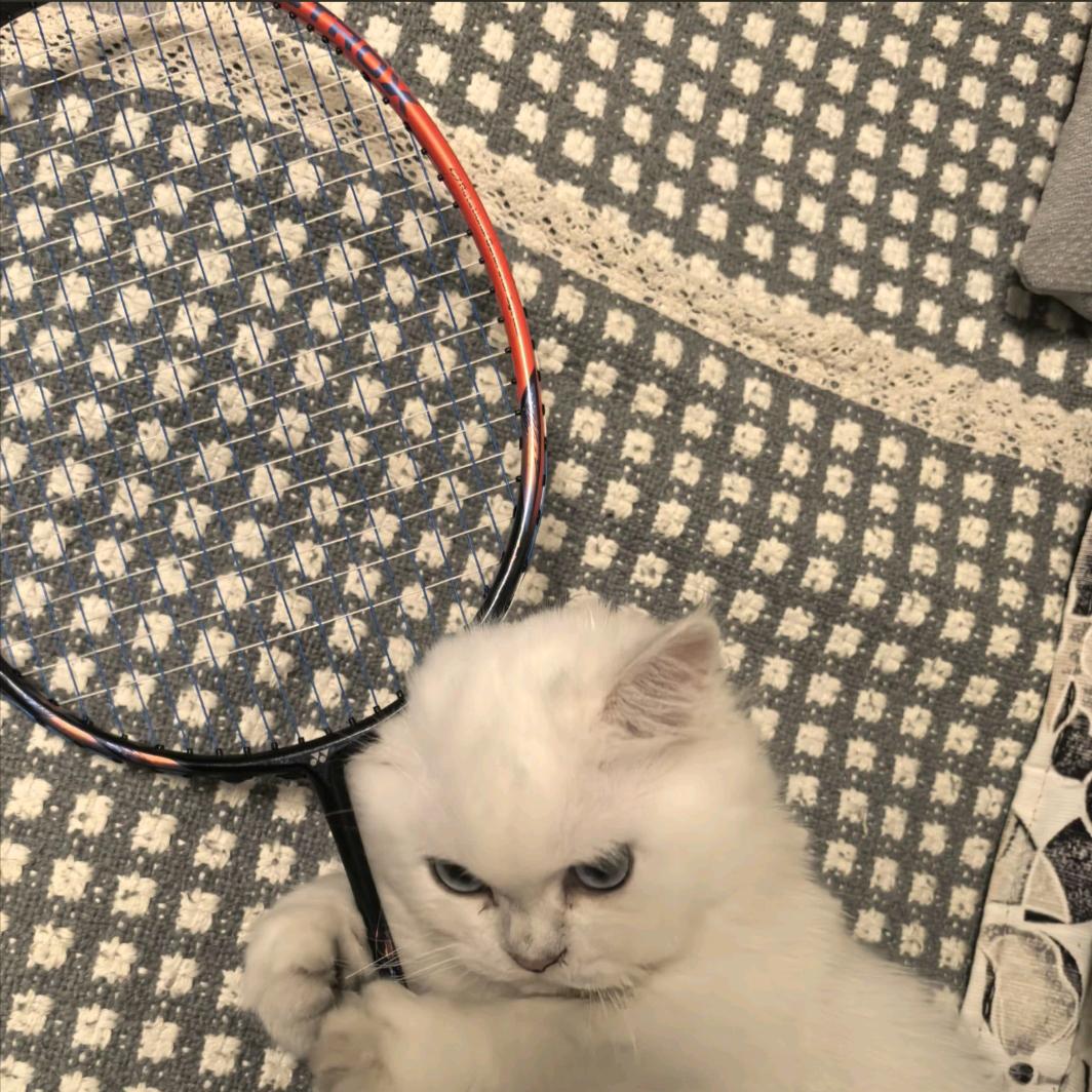 缘分澪《励志后场重炮手》