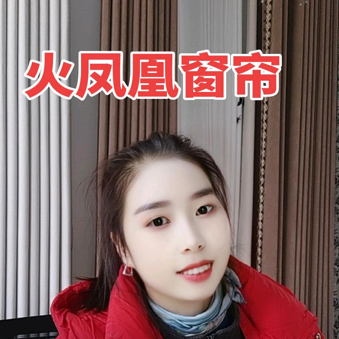 安阳火凤凰窗帘《拒聊》大号