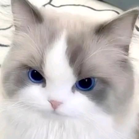 你还不码字吗大袜子