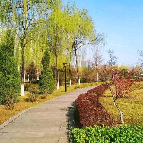 来根雨花石