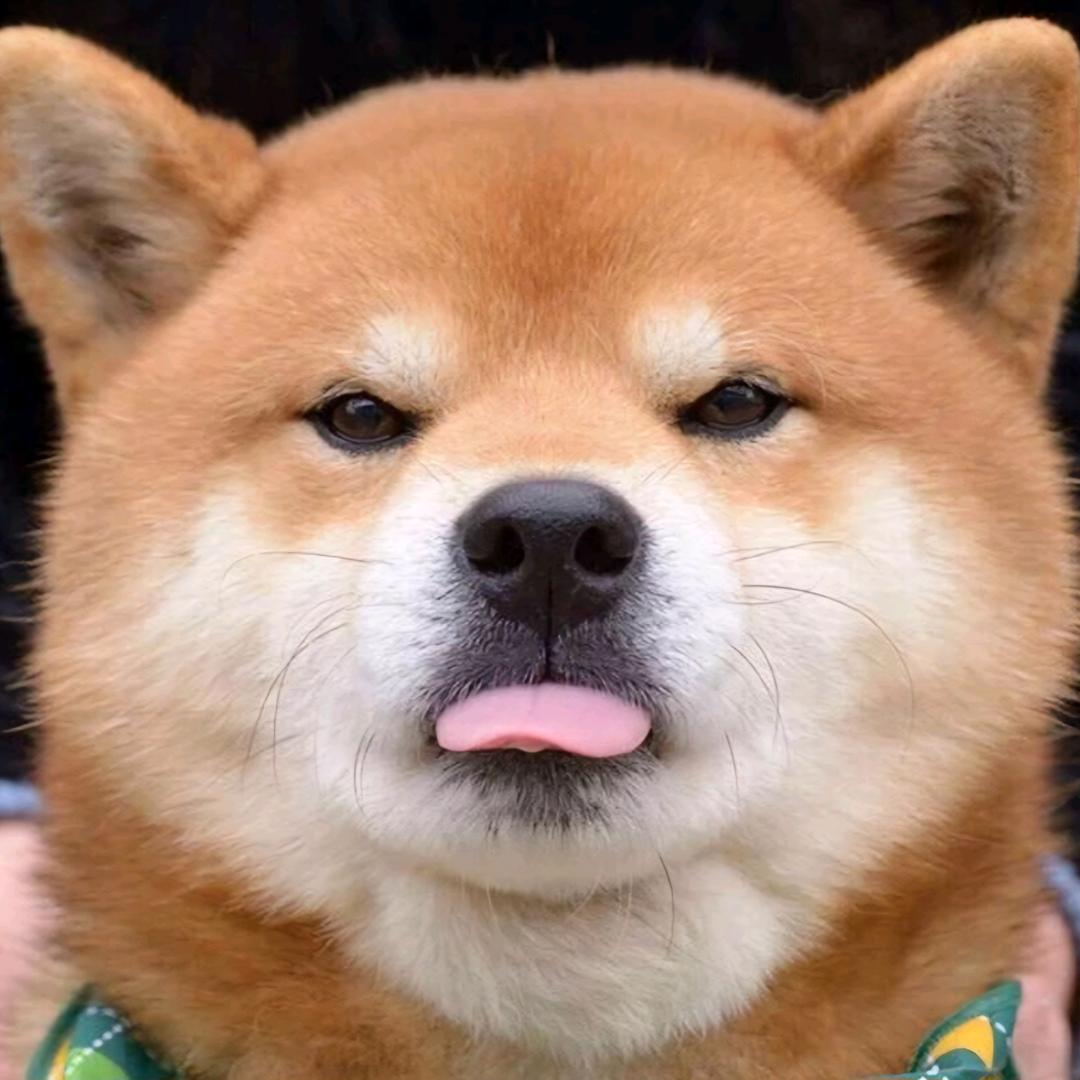 宁静致远