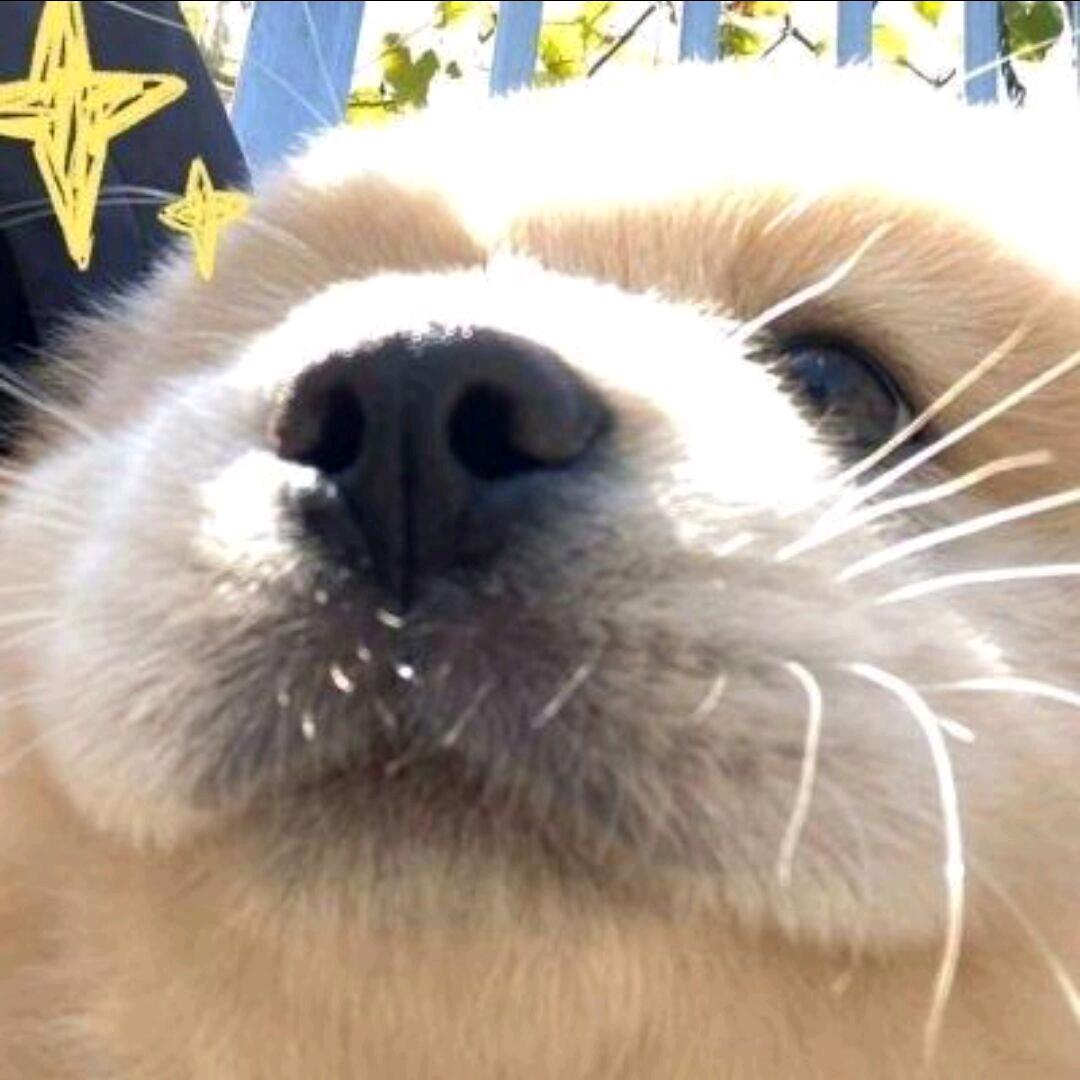M。