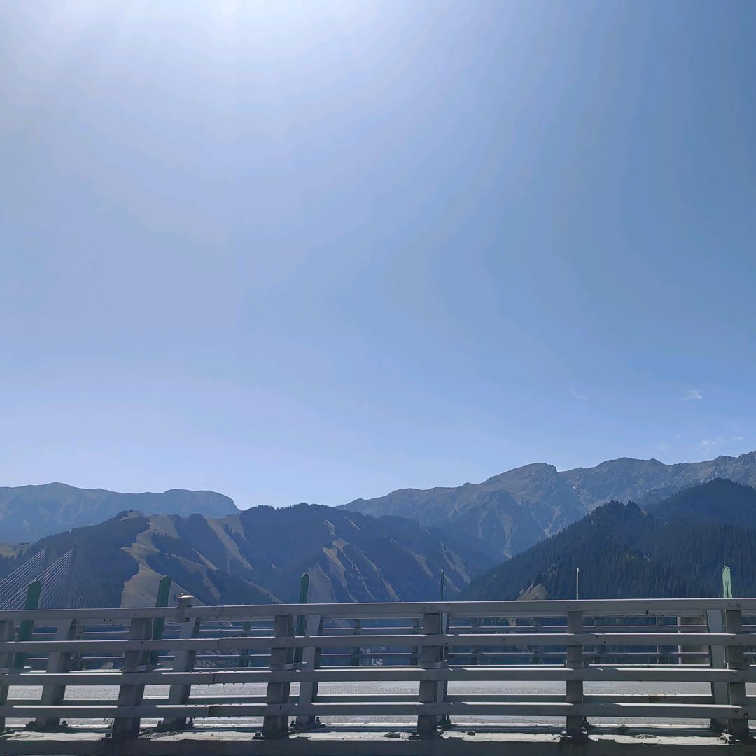 单词忘不了-大柳老师