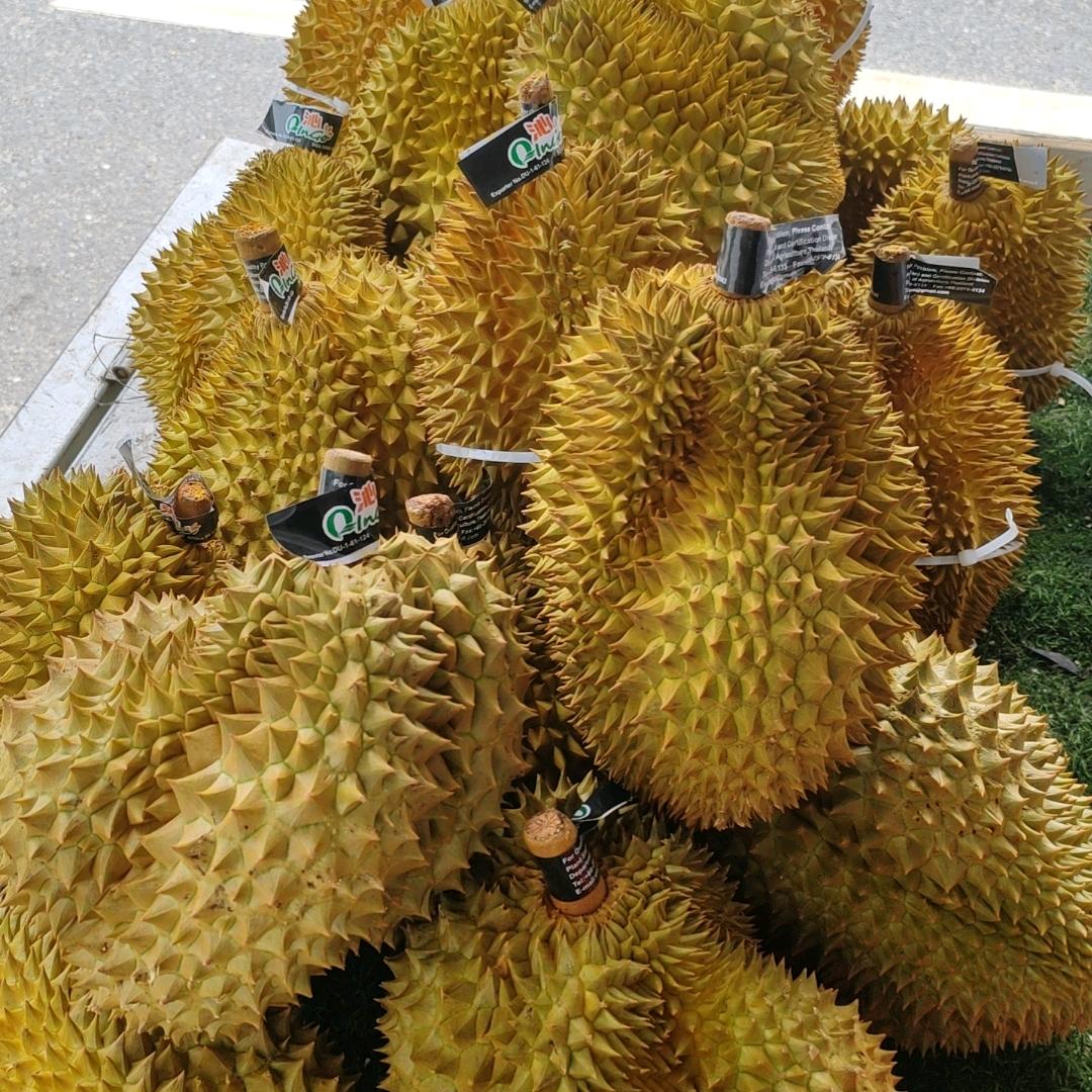 水果哥