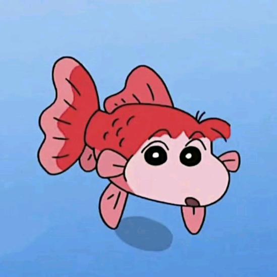 小咪不喜欢吃鱼