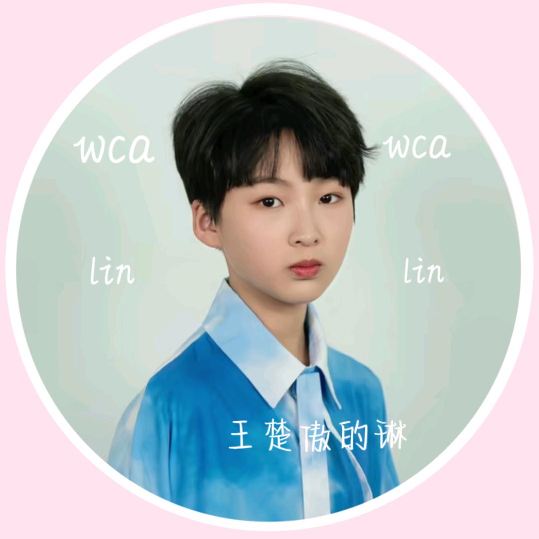 王楚傲的琳🅥