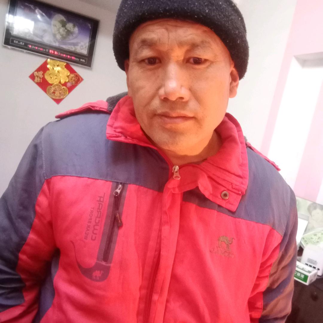单身老杨