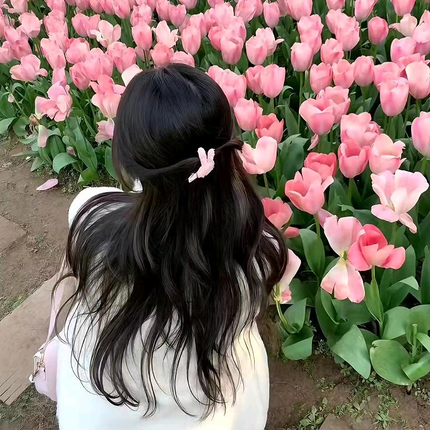 荼荼