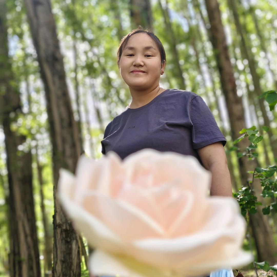 🌸雪山姑娘🌸