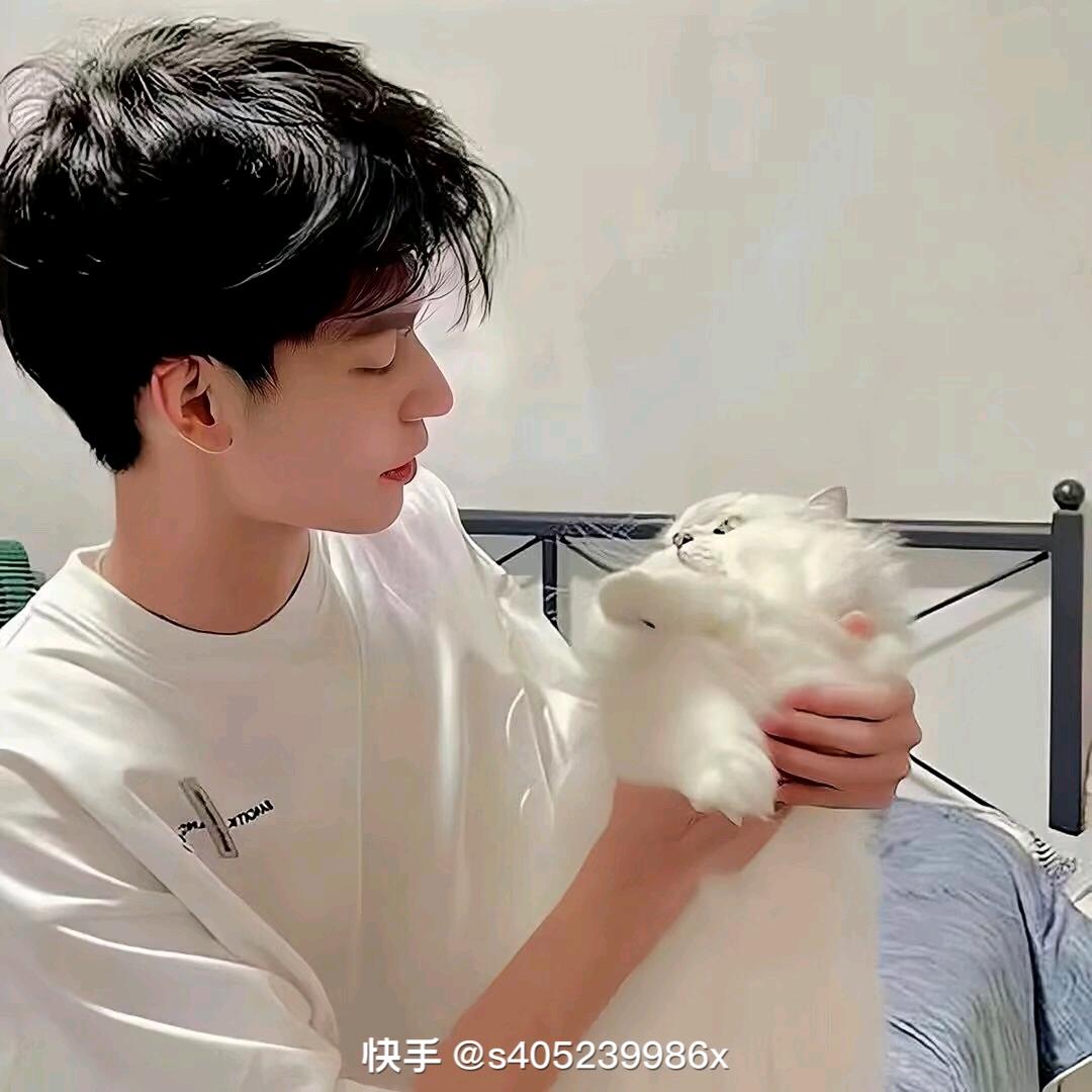 彬彬有李先生☘️