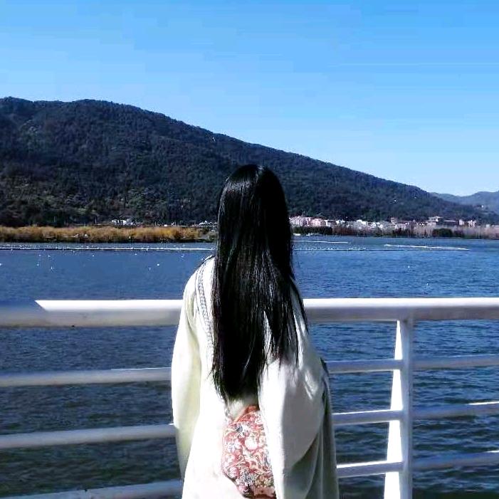 呆瓜小老虎