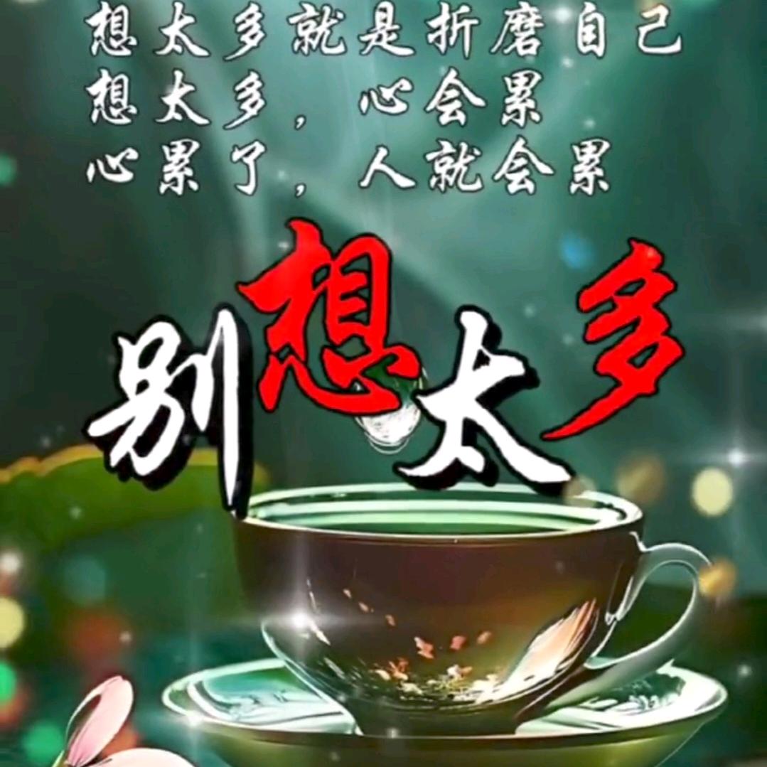 💫环游赏景✨