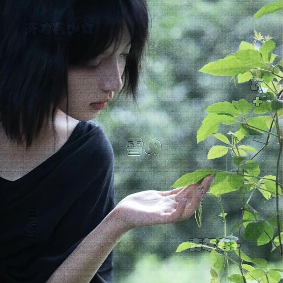 說了就是了