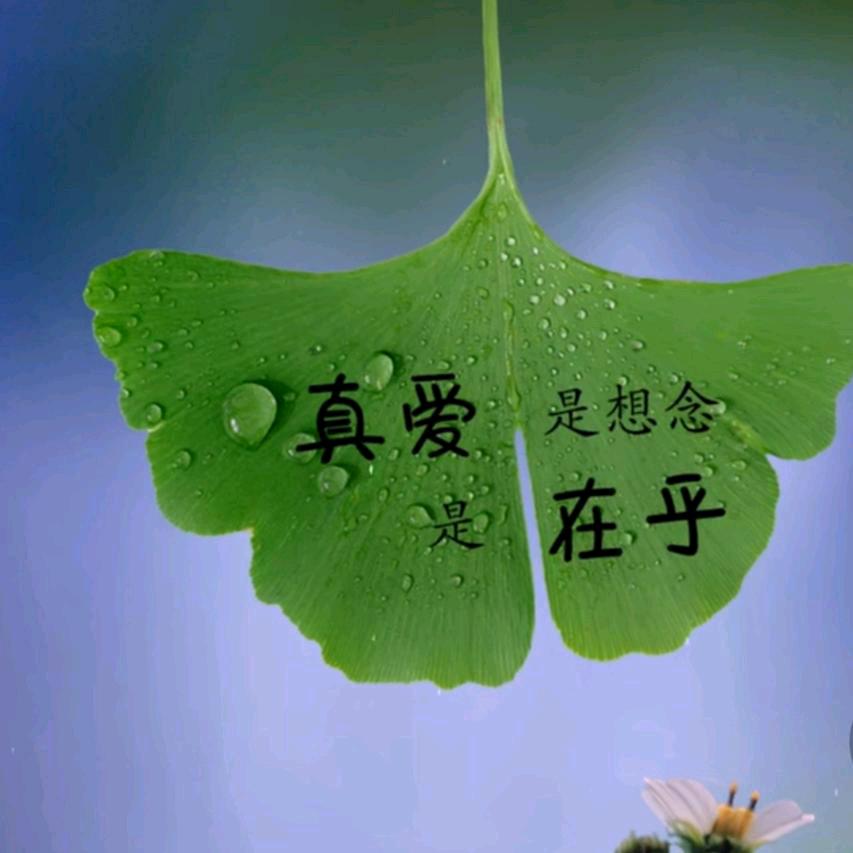 💔💔💔谎言的&负心人💔💔💔